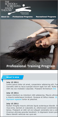 Toronto School of Dance Theatre Website
